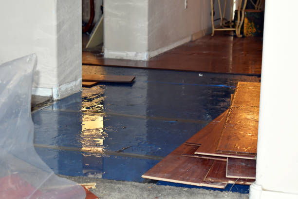 Professional Basement Water Removal technician working in Three Rivers, MA